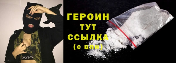 мдпв Туринск