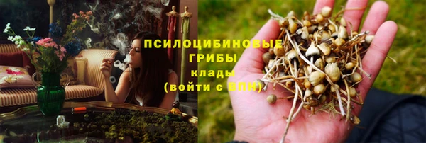 ALPHA PVP Михайловск