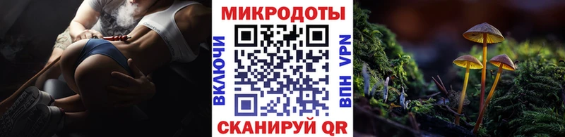 Псилоцибиновые грибы Cubensis Славянск-на-Кубани